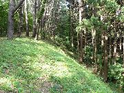 ������F�y��