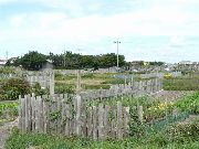 �\�O���F������