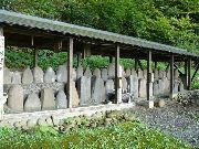 �ւ̌Ô�Q�F���{���ꑰ���{��