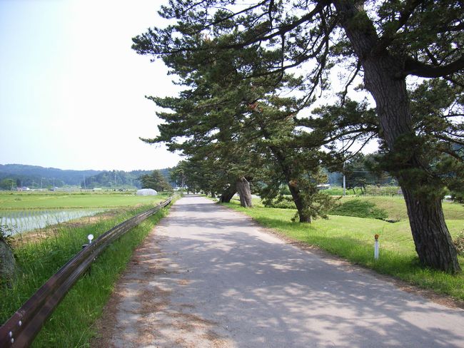 �w�R�Ǖ����H�B�X��������