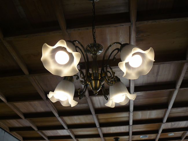 ������z�R������