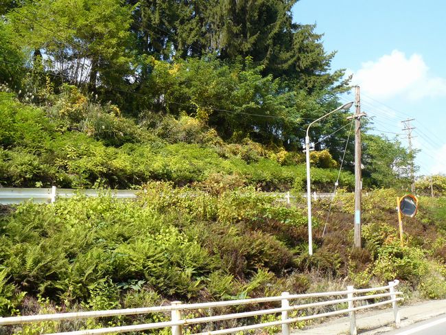 ���⒬�E�����