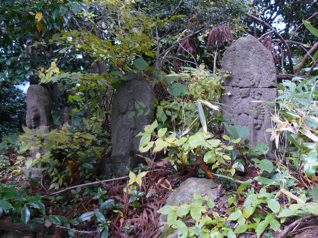 �ɂ��َs�ۊ��F�����_��