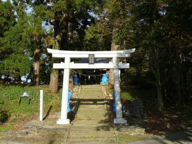 ��蔪���_��