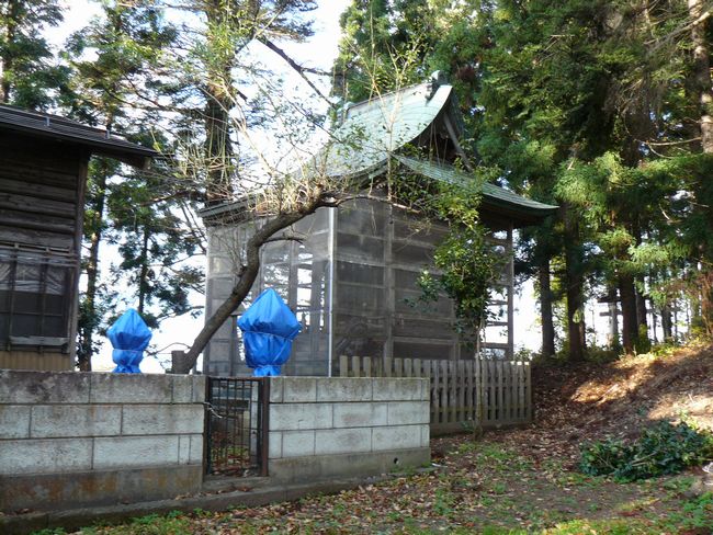 ��蔪���_��