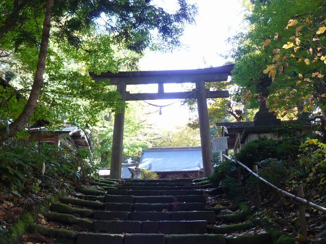 ���V�����{