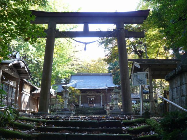 ���V�����{