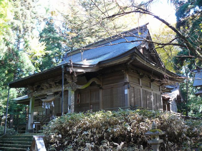 ���V�����{