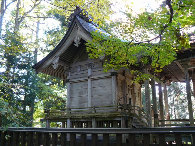 ���V�����{