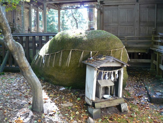 ���V�����{