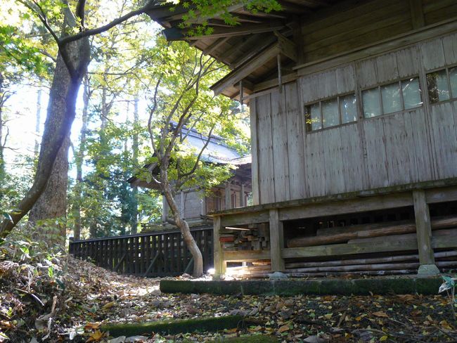 ���V�����{