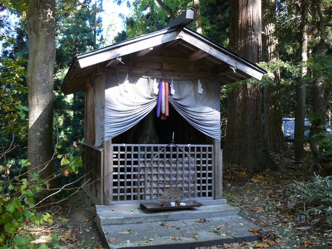 ���V�����{