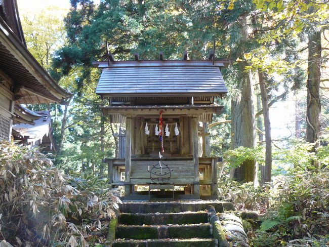 ���V�����{