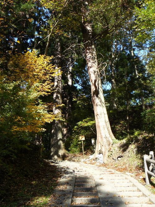 ���V�����{�E�ʐ^