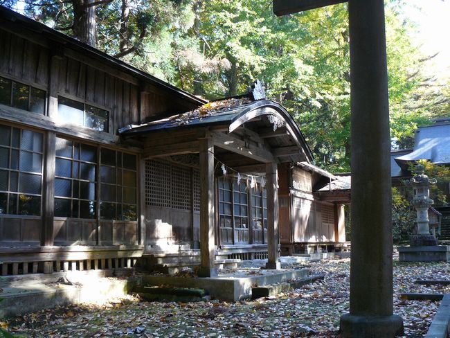 ���V�����{