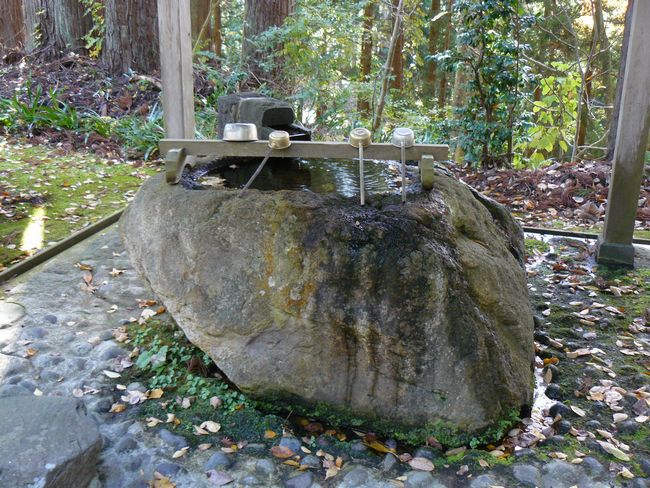 ���V�����{