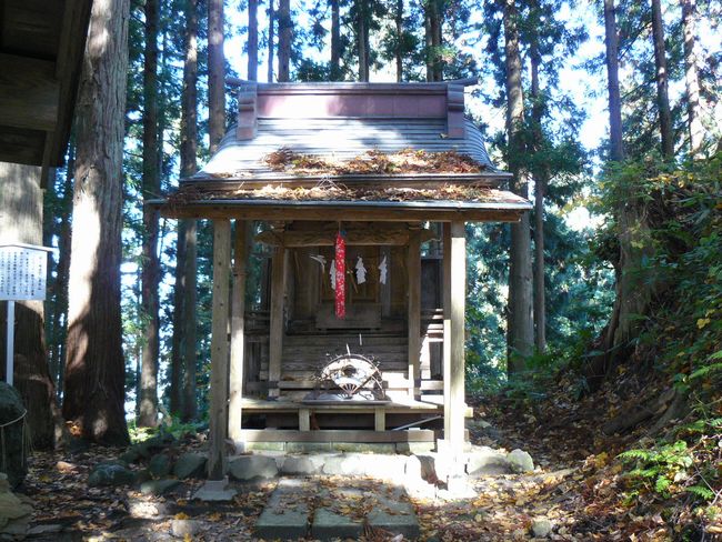 �������_��