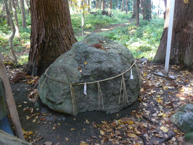 �������_��