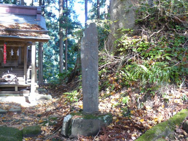 �������_��