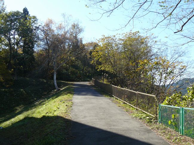 ���n������