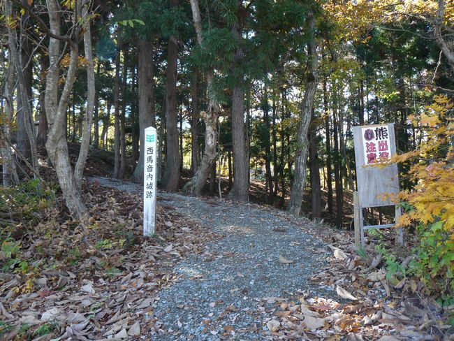 ���n������