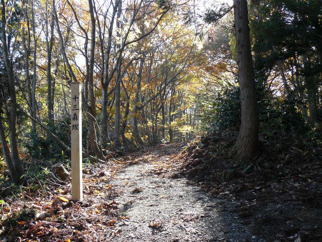 ���n������