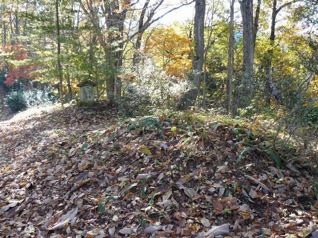 ���n������