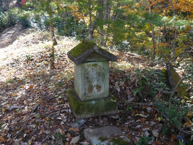 ���n������