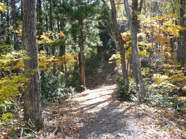 ���n������