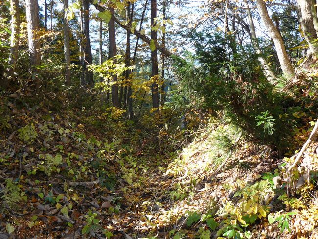 ���n������