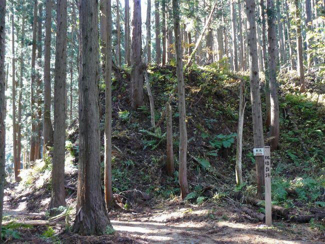 ���n������