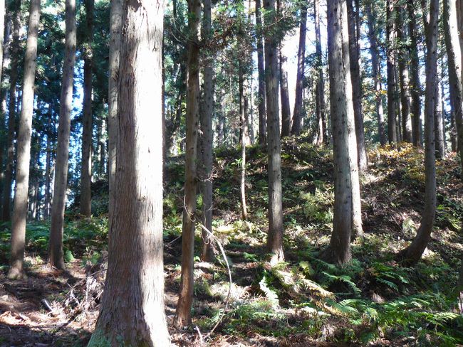 ���n������