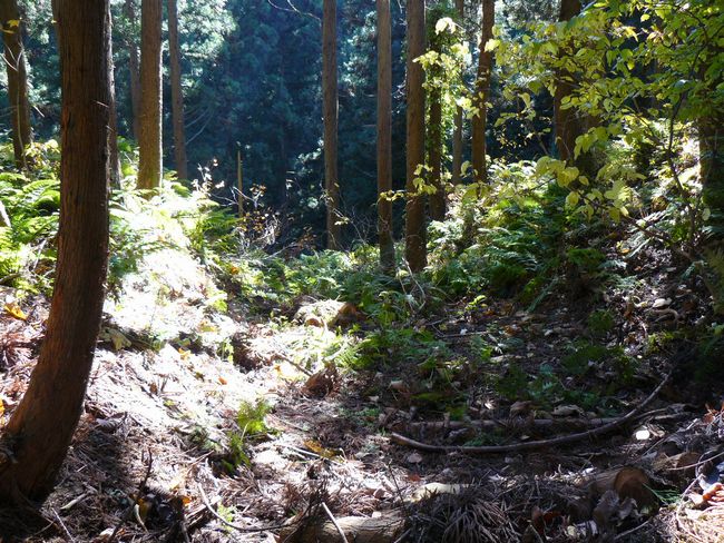 ���n������