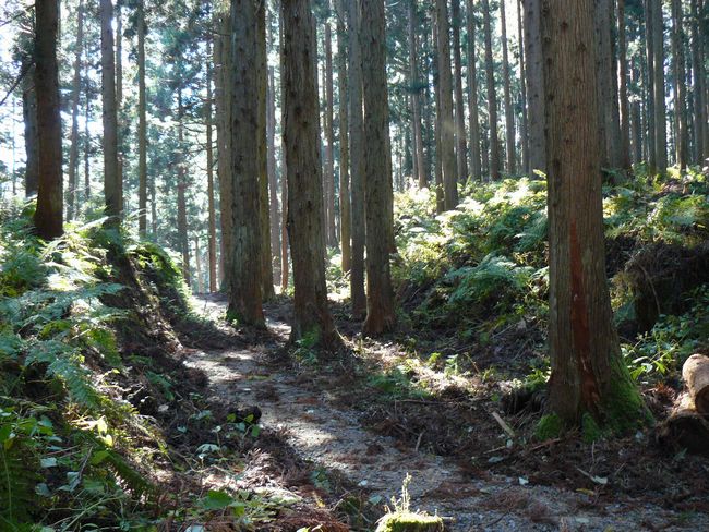 ���n������