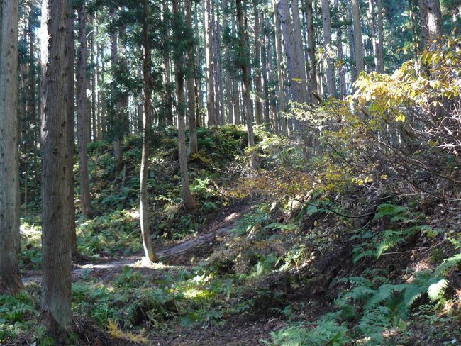 ���n������