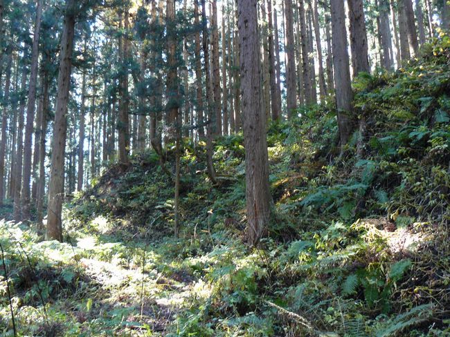 ���n������