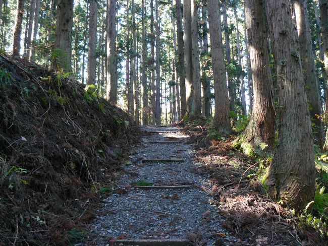 ���n������