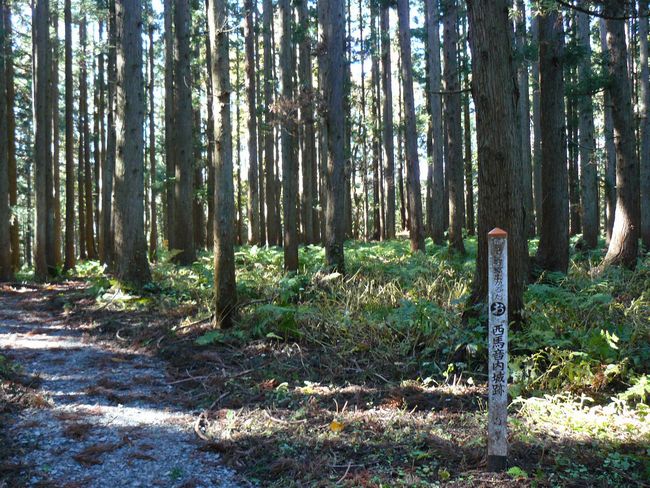 ���n������