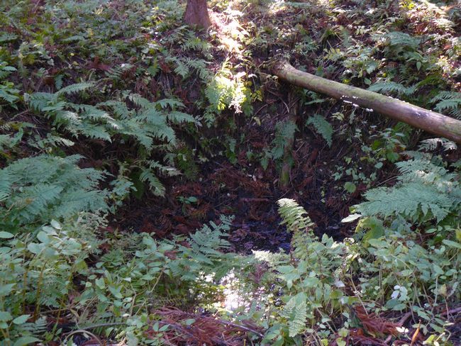 ���n������