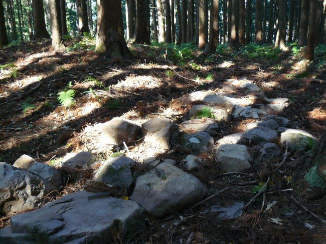 ���n������