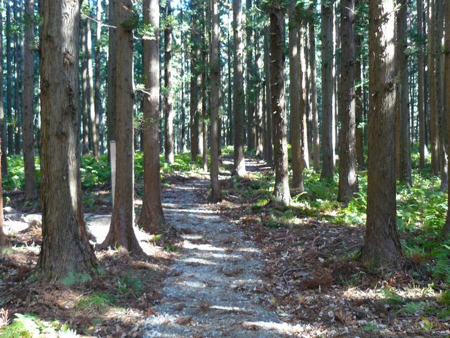 ���n������