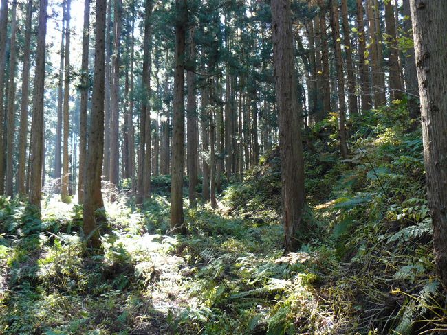 ���n������