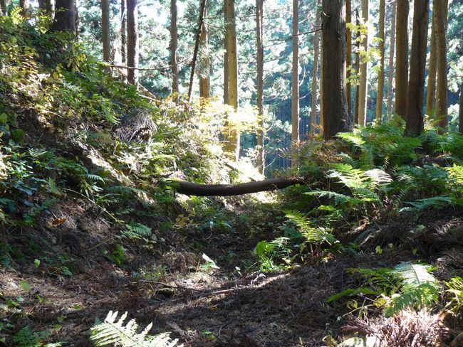 ���n������