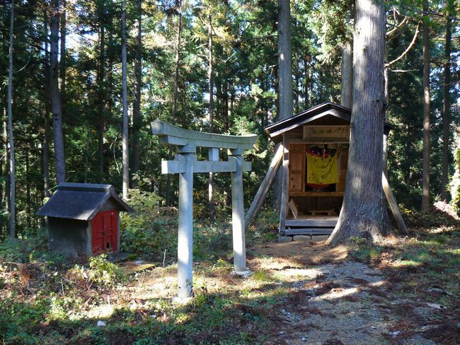 ���n������