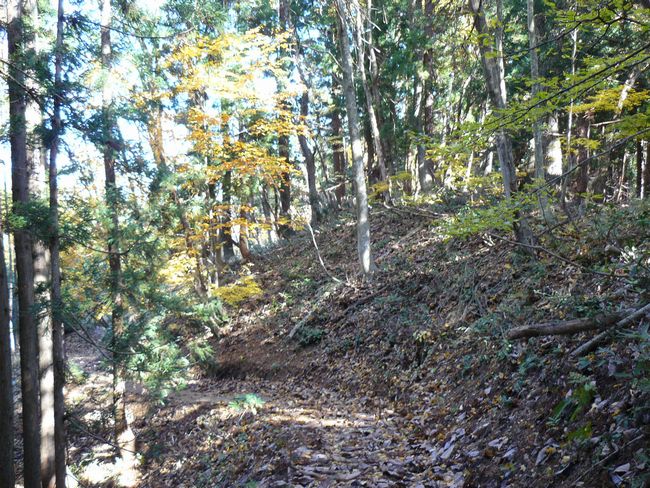 ���n������