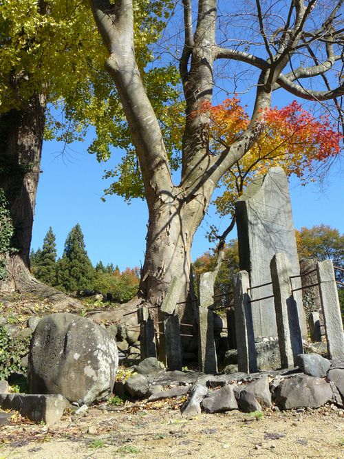 �H�㒬���n�����E������