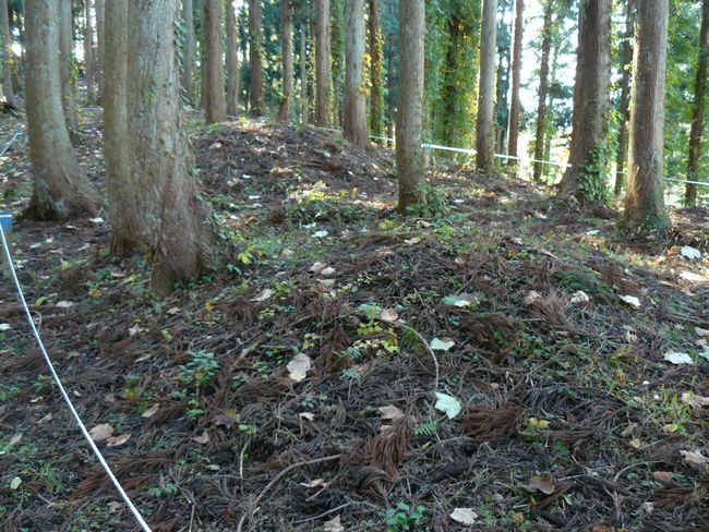 �咹��R�\�O��