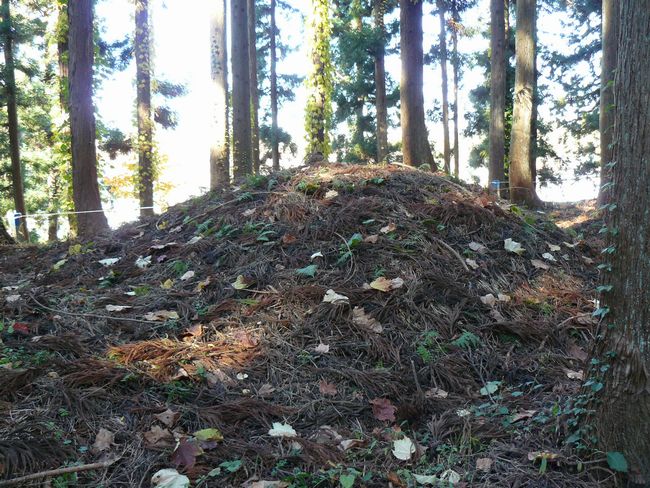 �咹��R�\�O��