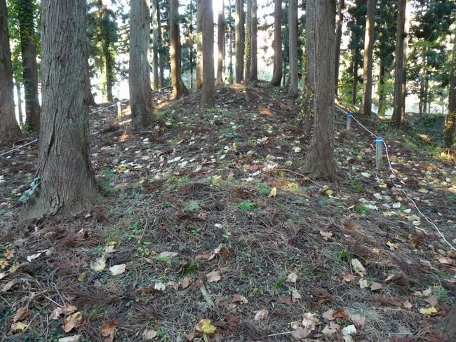 �咹��R�\�O��