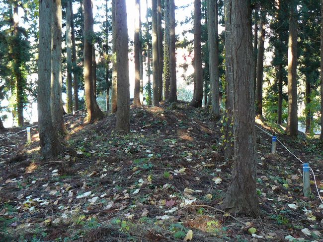 �咹��R�\�O��